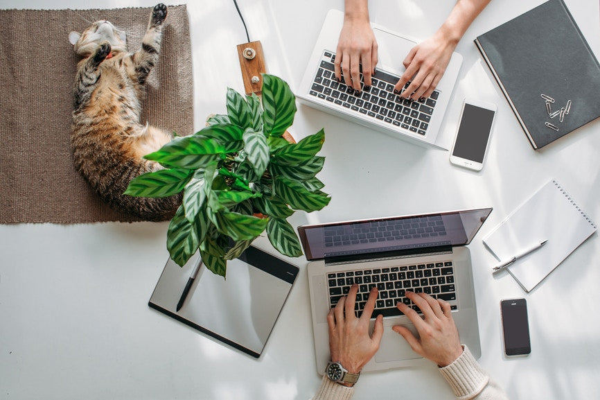 two people working on their computers with cell phones notebooks and a cat