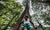 girl hugging a huge tree