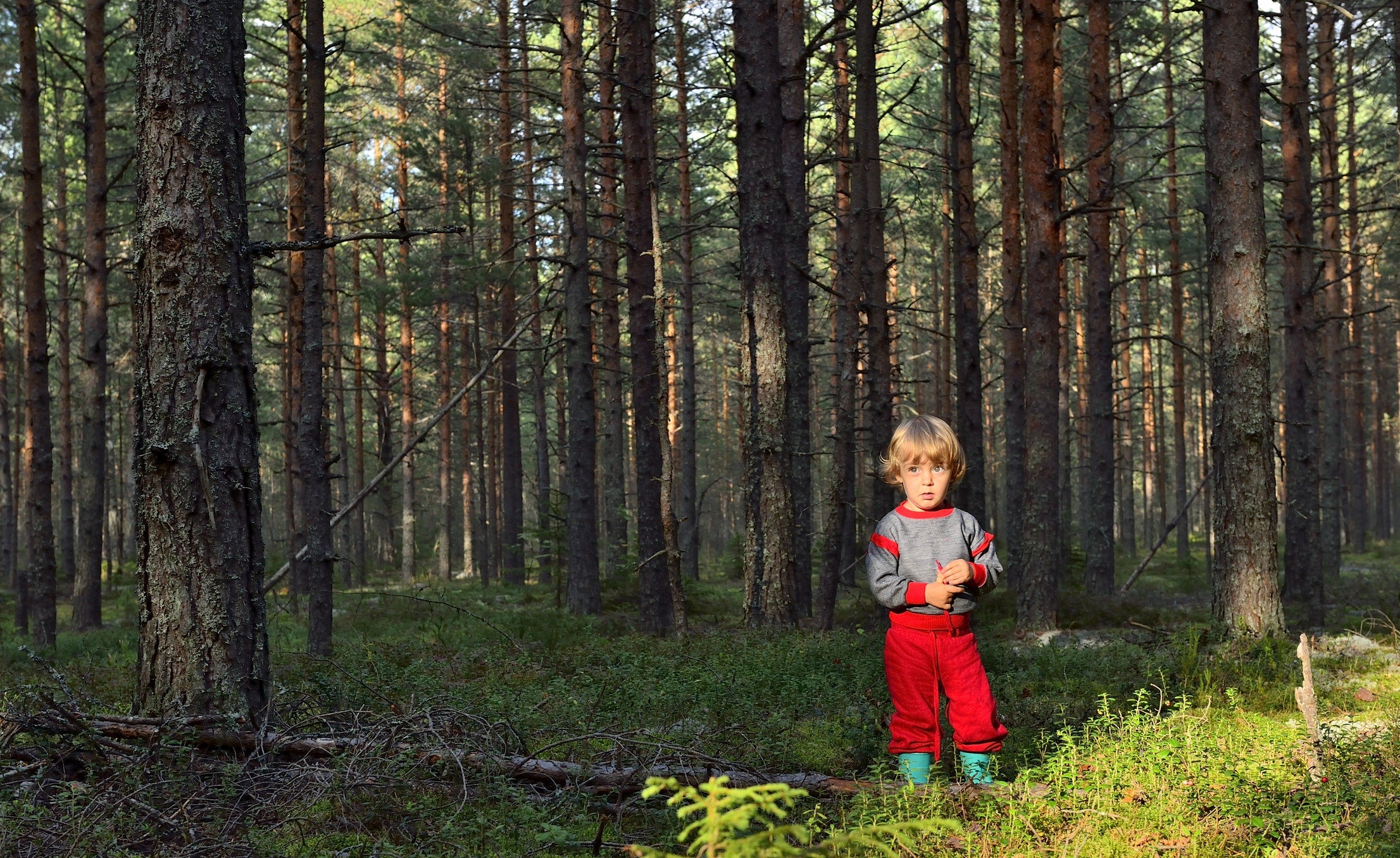 A kid in the forest