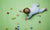 toddler crawling on the floor playing with building blocks toys