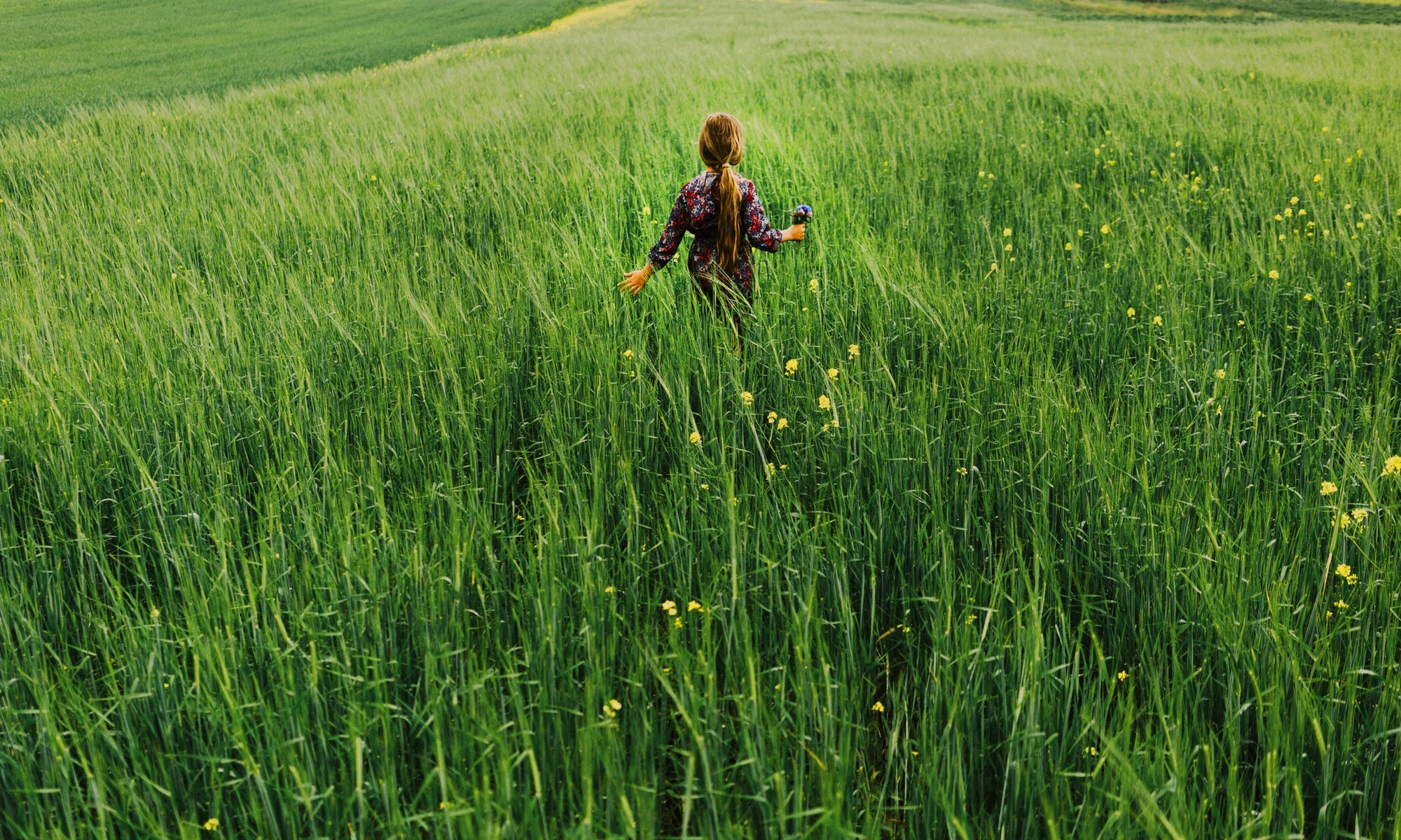 Rear view of a girl walking in field of long grass