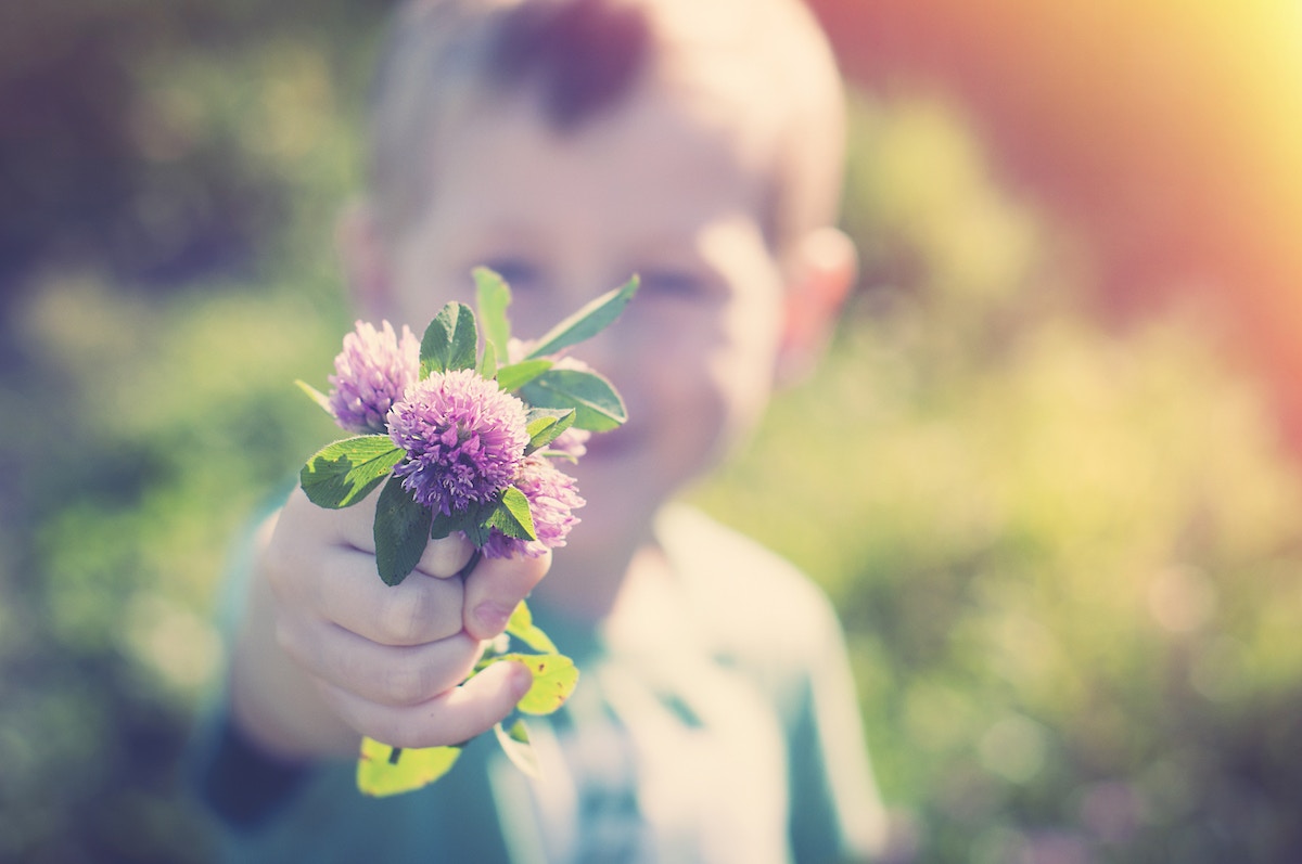 a young boy holding out a bunch of purple flowers