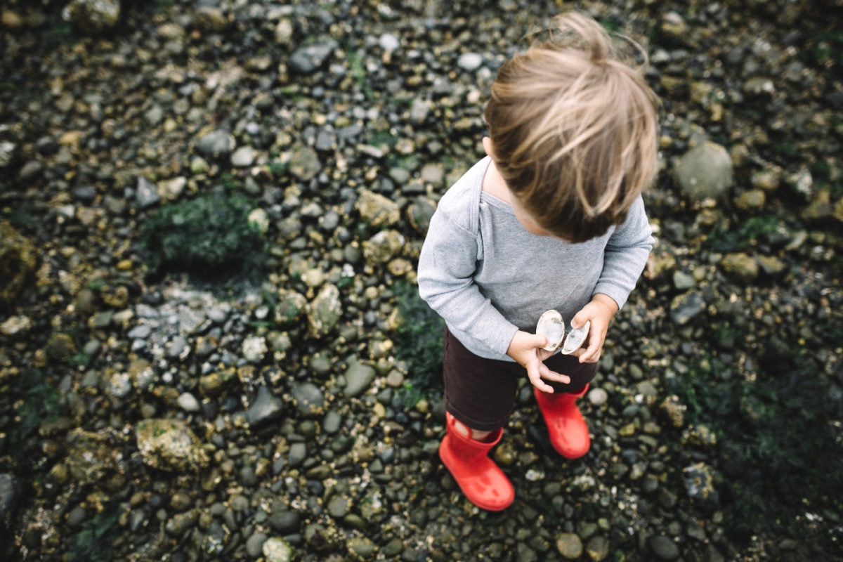 A boy is hodling sea shell and watching them 