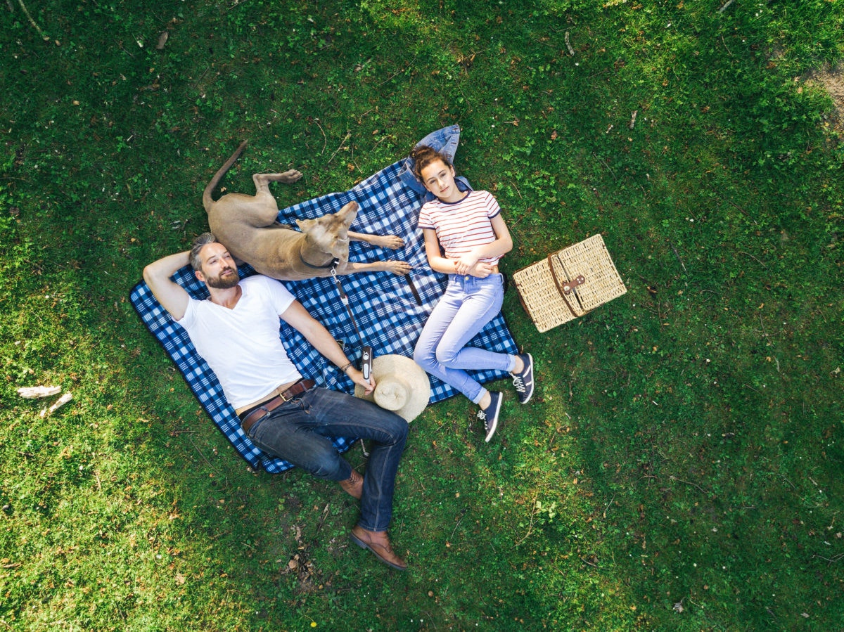 man child and dog on a blanket in the park